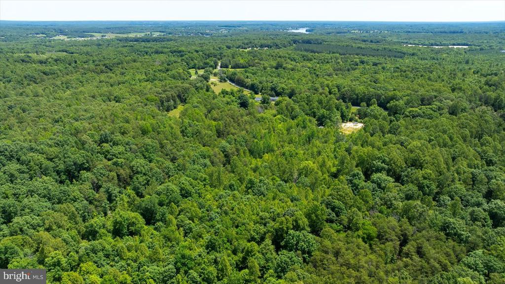 PEACH GROVE ROAD