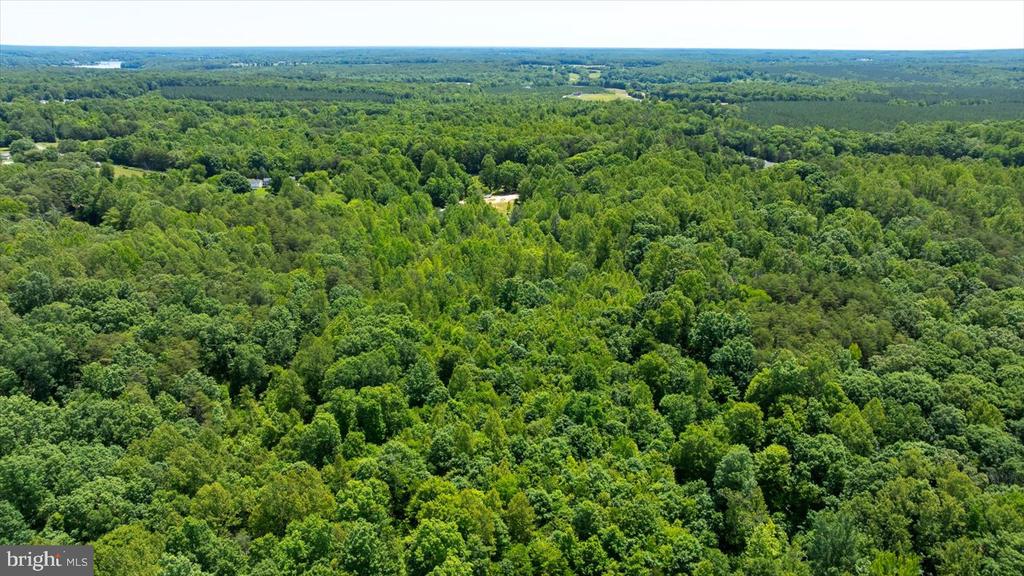 PEACH GROVE ROAD