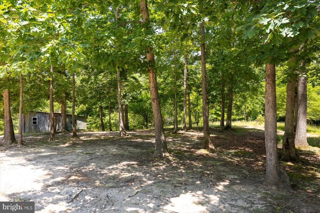 PEACH GROVE ROAD
