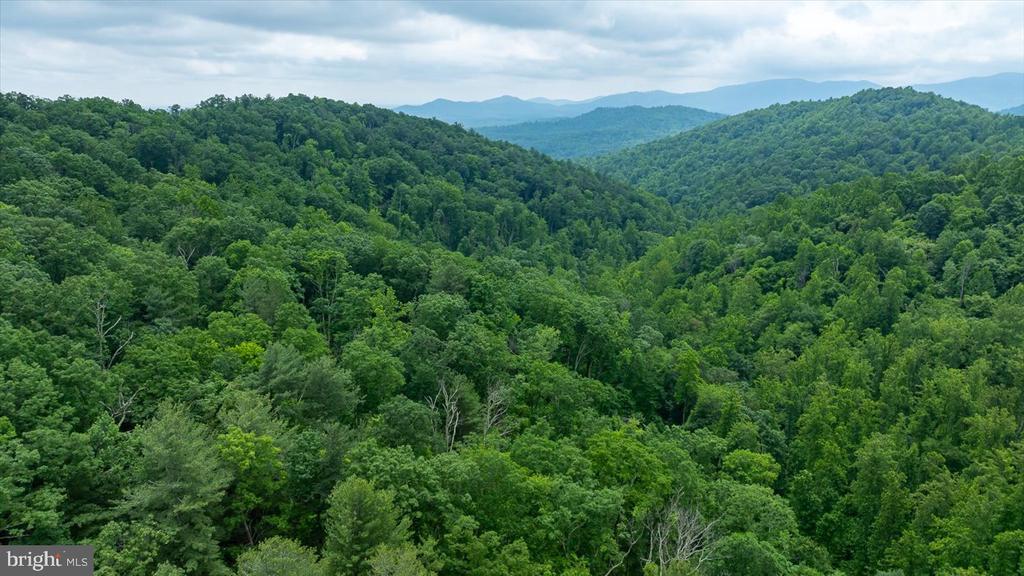 DULANEY MOUNTAIN ROAD