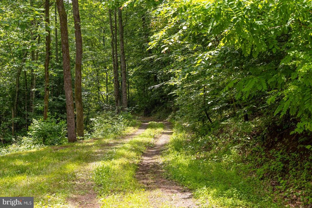 DULANEY MOUNTAIN ROAD