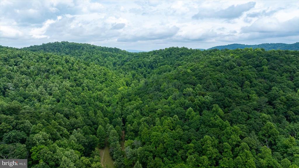DULANEY MOUNTAIN ROAD