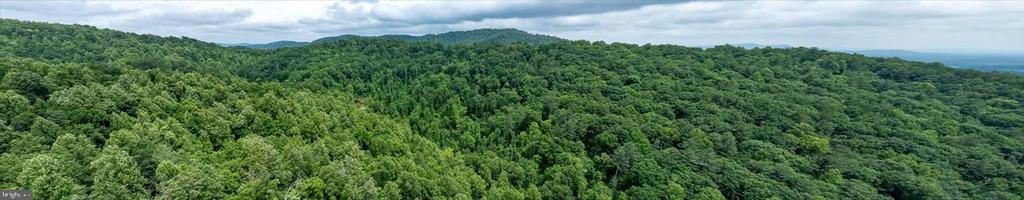 DULANEY MOUNTAIN ROAD
