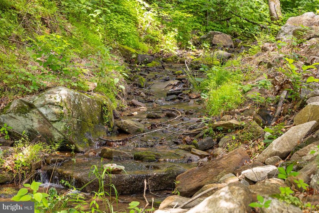 DULANEY MOUNTAIN ROAD