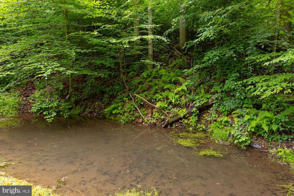 DULANEY MOUNTAIN ROAD