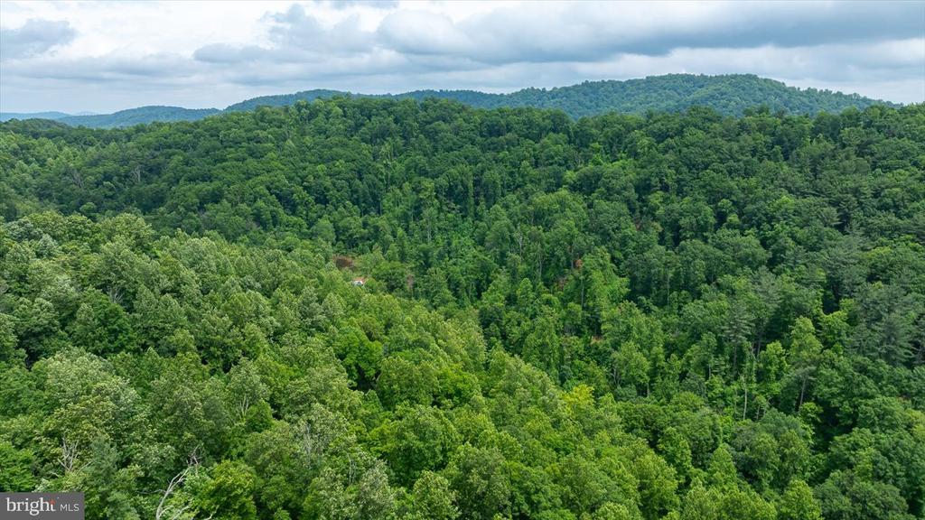 DULANEY MOUNTAIN ROAD