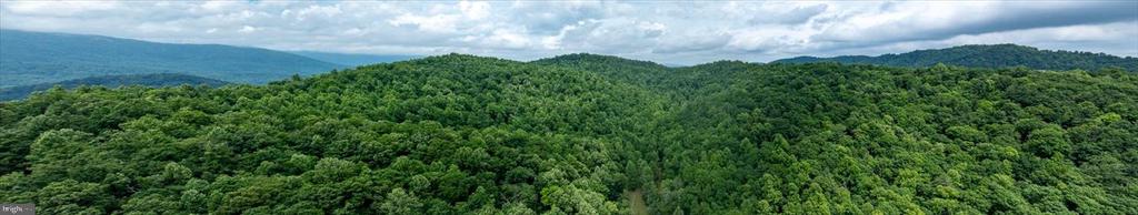 DULANEY MOUNTAIN ROAD
