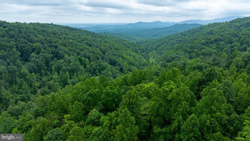 DULANEY MOUNTAIN ROAD