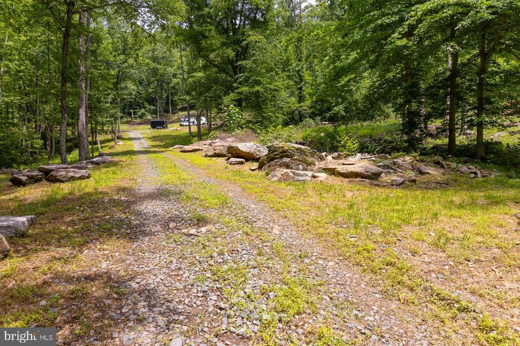 DULANEY MOUNTAIN ROAD