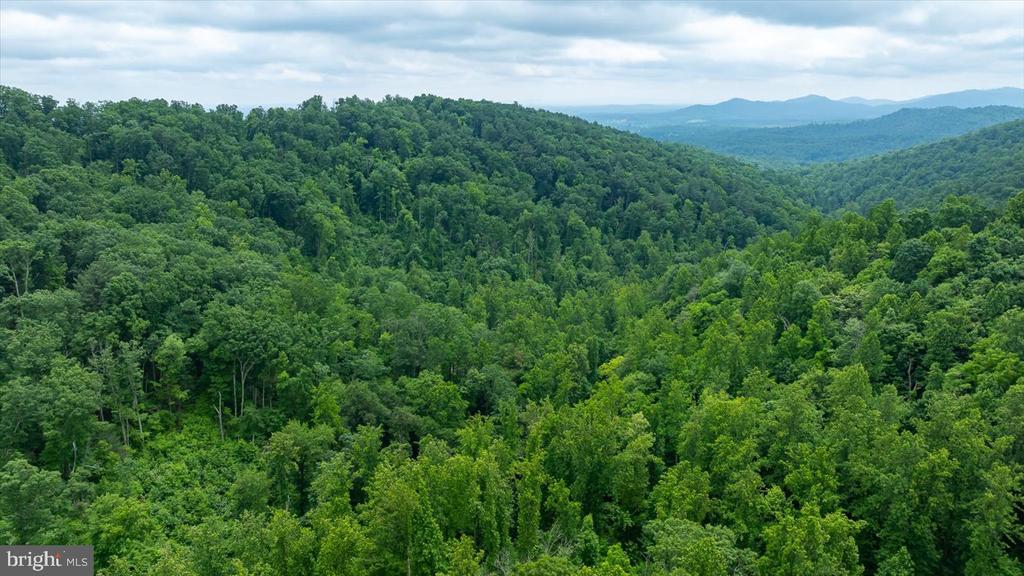 DULANEY MOUNTAIN ROAD