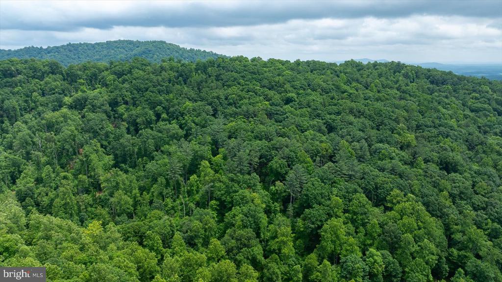 DULANEY MOUNTAIN ROAD