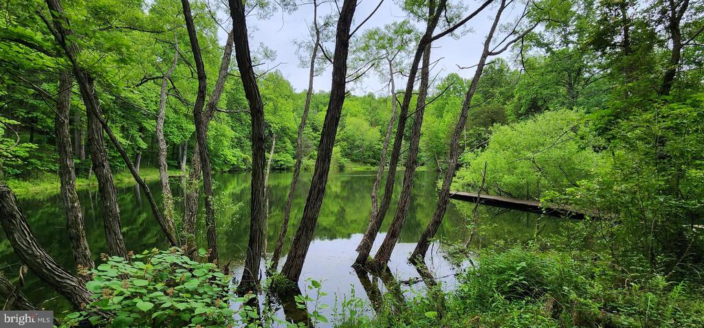 432 CHIMNEY HOLLOW ROAD