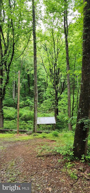 432 CHIMNEY HOLLOW ROAD