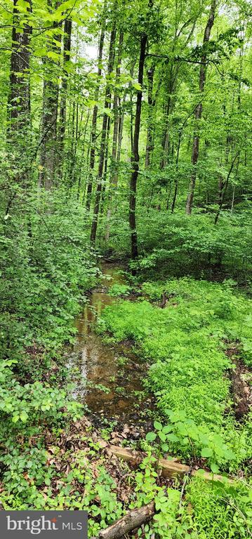 432 CHIMNEY HOLLOW ROAD