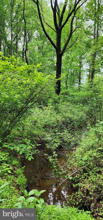 432 CHIMNEY HOLLOW ROAD