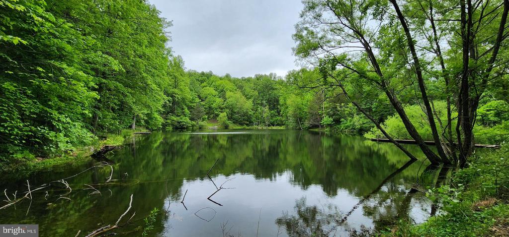 432 CHIMNEY HOLLOW ROAD