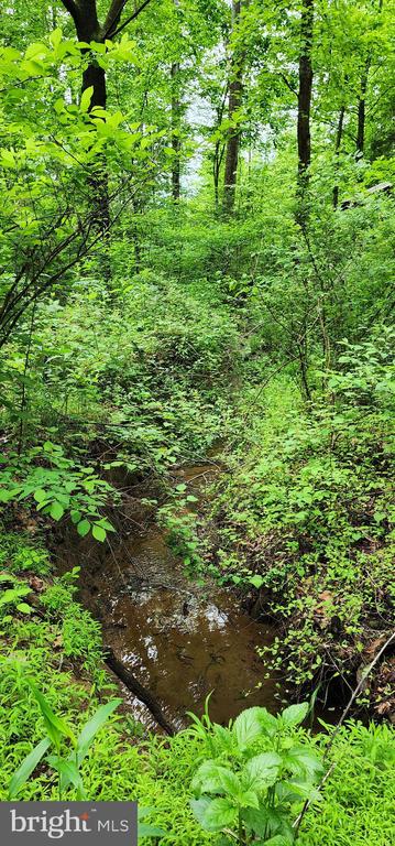 432 CHIMNEY HOLLOW ROAD