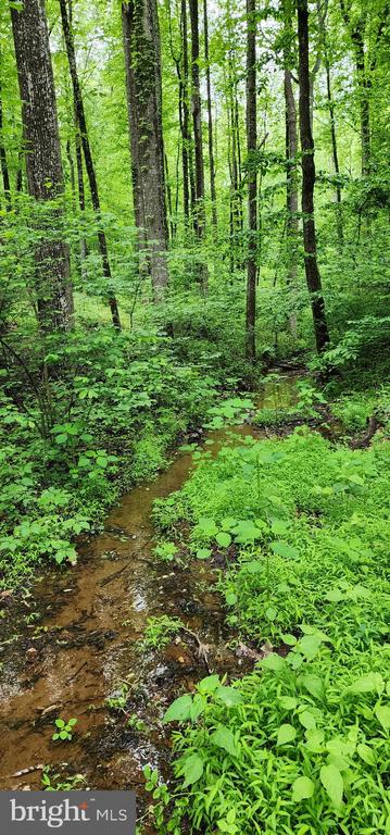 432 CHIMNEY HOLLOW ROAD