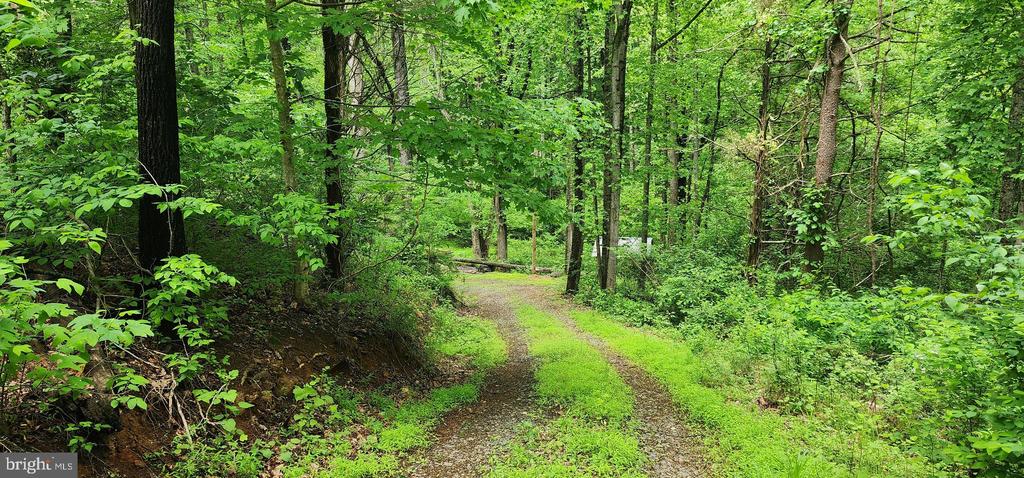432 CHIMNEY HOLLOW ROAD