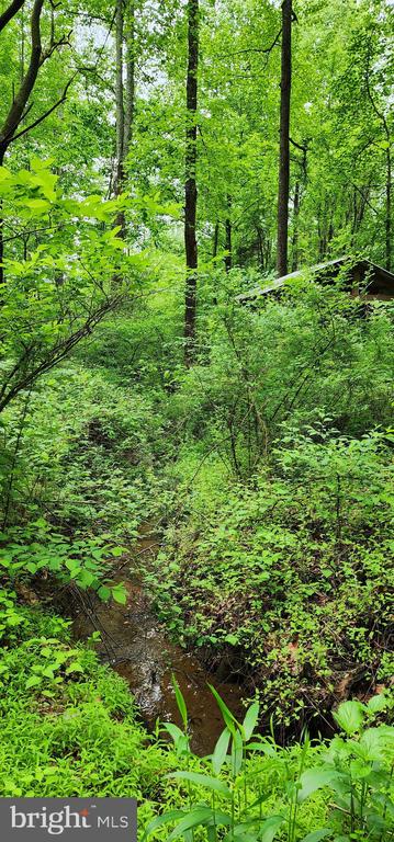 432 CHIMNEY HOLLOW ROAD