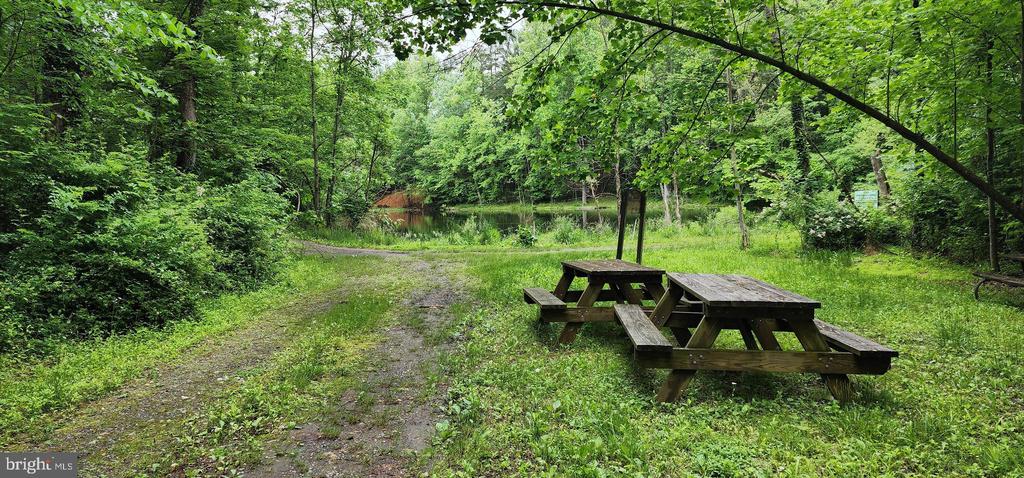432 CHIMNEY HOLLOW ROAD