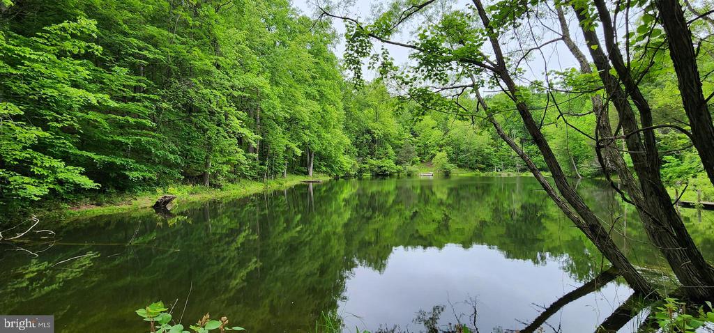 432 CHIMNEY HOLLOW ROAD