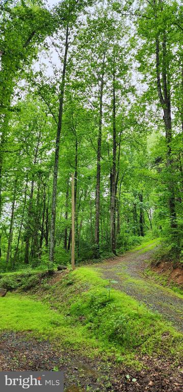 432 CHIMNEY HOLLOW ROAD