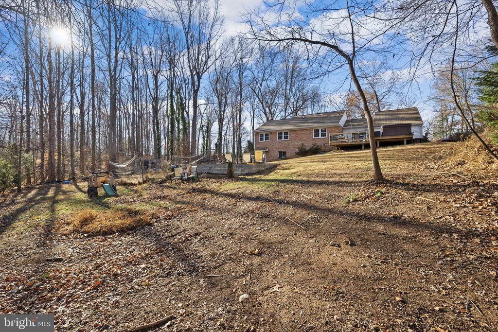161 PERSIMMON