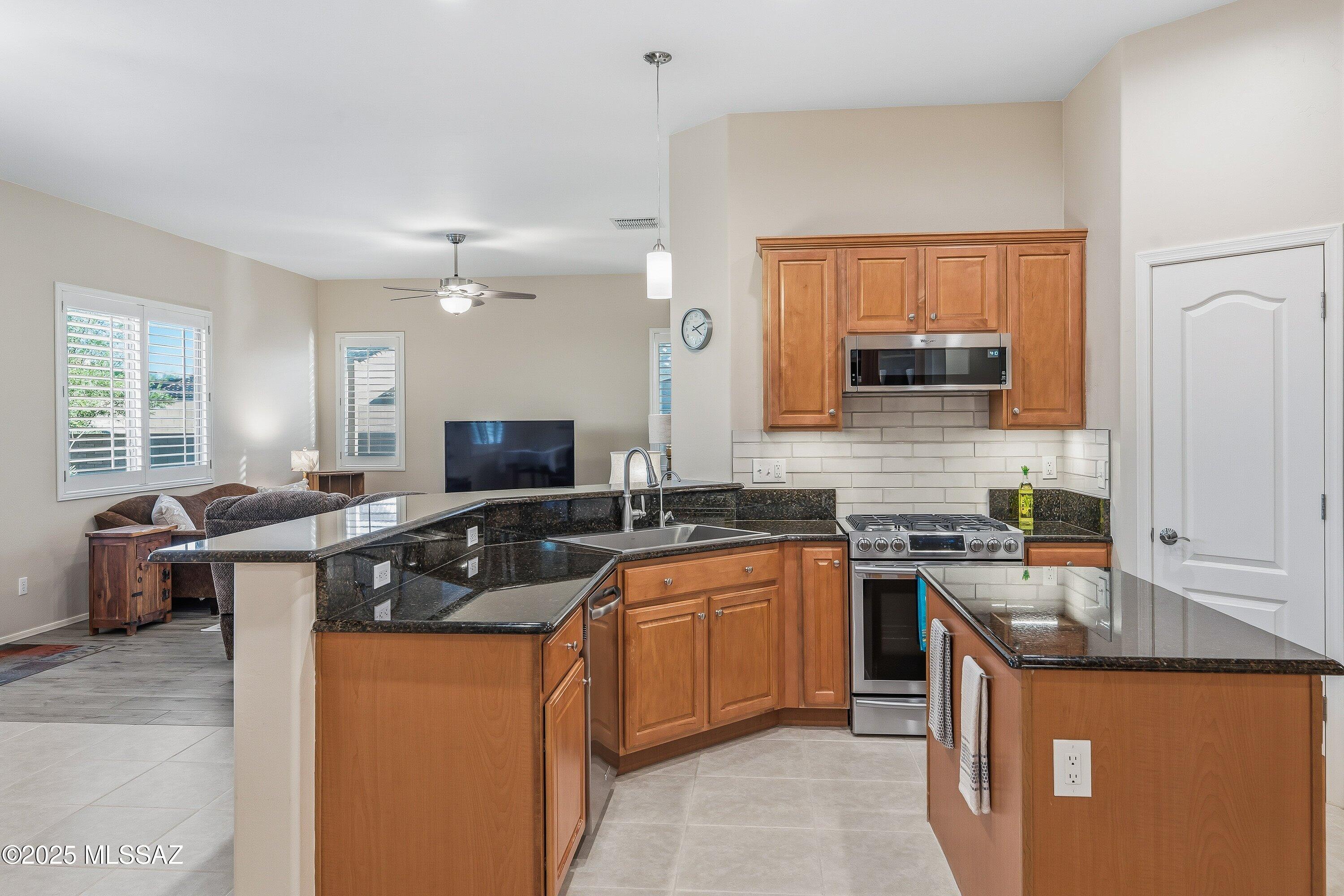 12898 N Cenozoic Drive