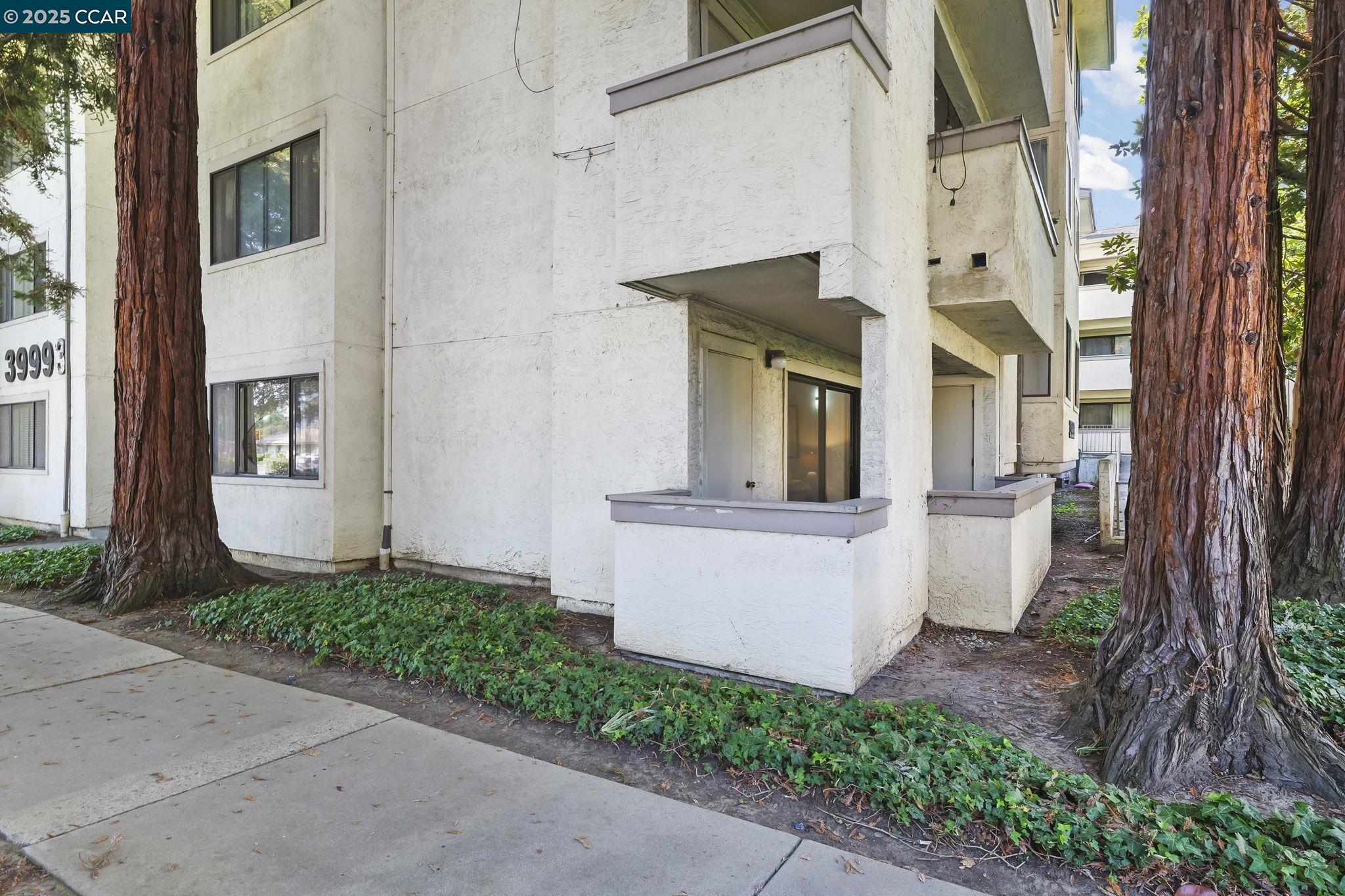 39993 Fremont Blvd # 102, Fremont Unit: 102