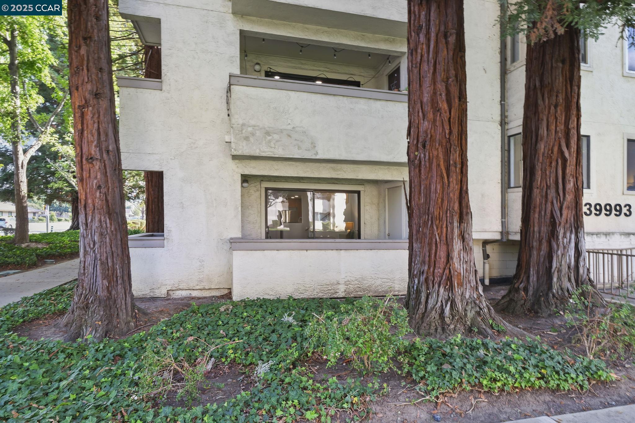 39993 Fremont Blvd # 102, Fremont Unit: 102