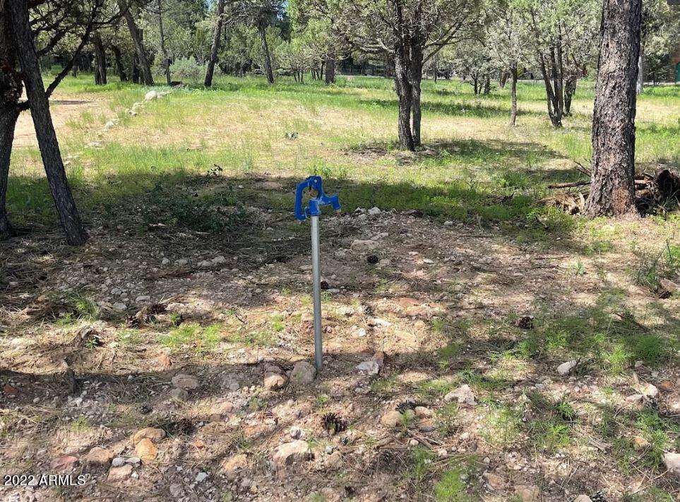 2862 BUCK Circle, 397