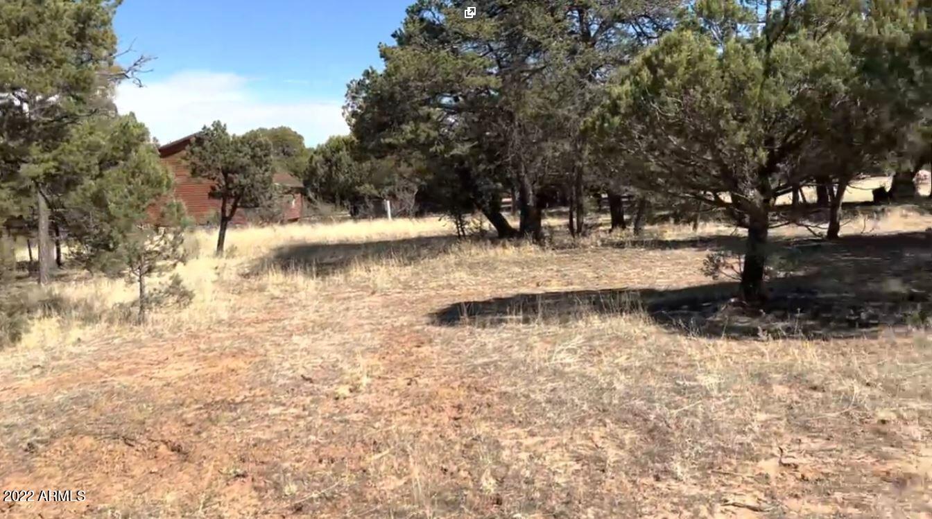 2862 BUCK Circle, 397