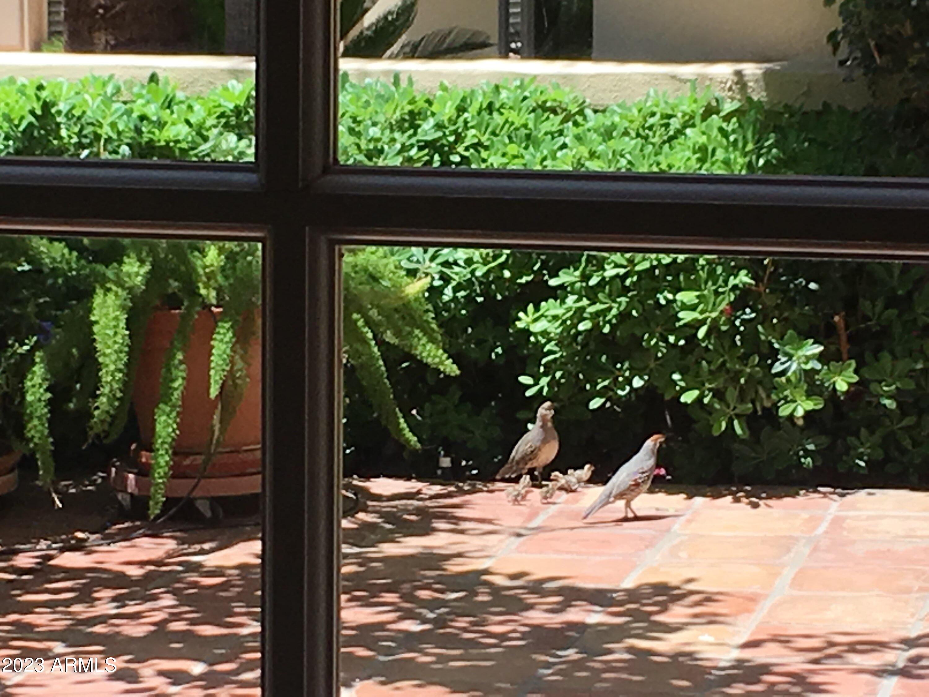 7500 E MCCORMICK Parkway, 76