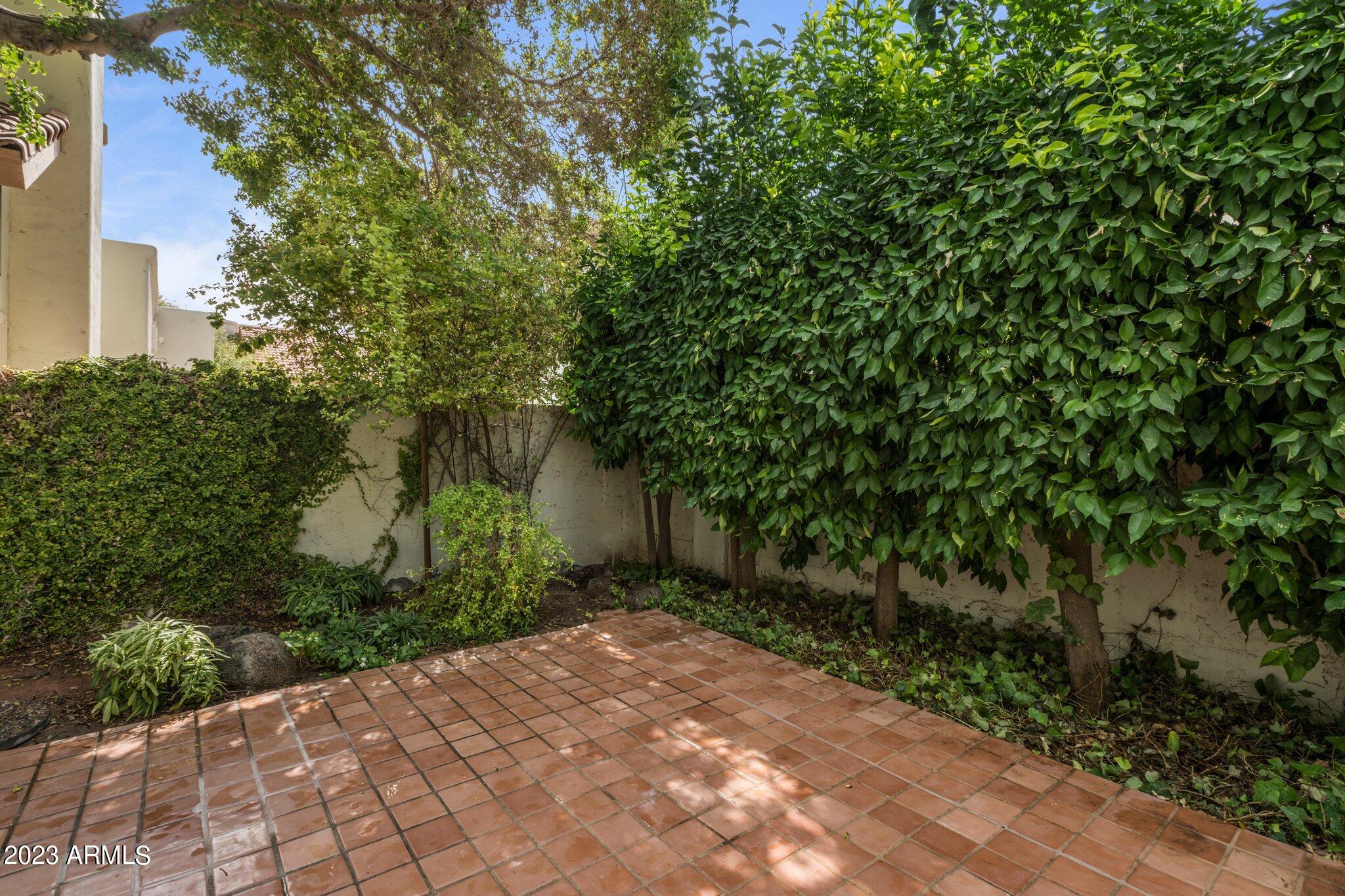 1909 E Calle De Arcos