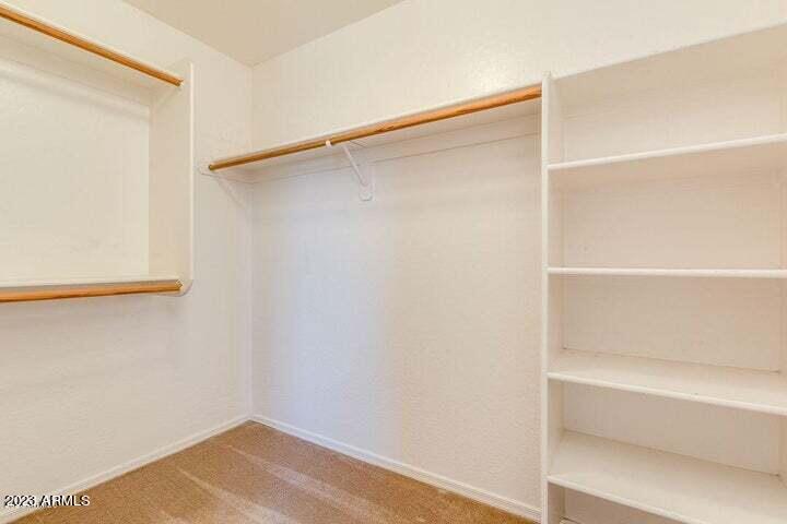 29197 N YELLOW BEE Drive