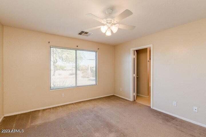 29197 N YELLOW BEE Drive