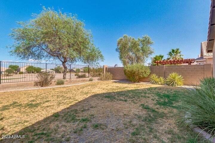 29197 N YELLOW BEE Drive