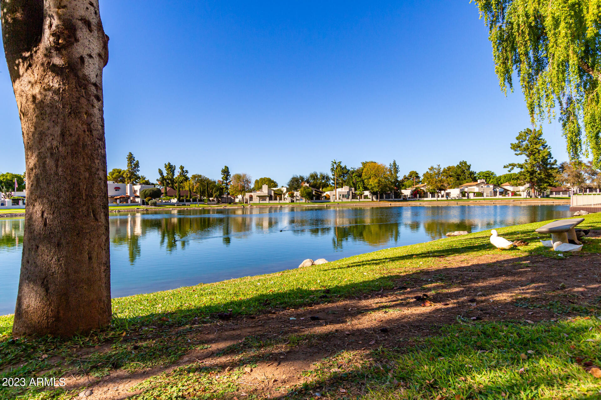 11034 N 28TH Drive, 204