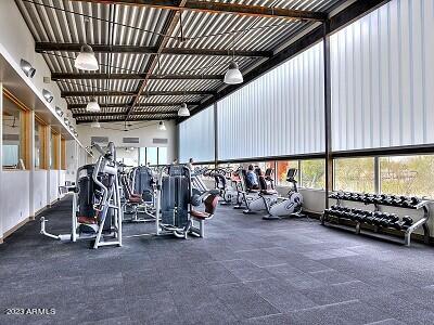 10822 E SALT BUSH Drive