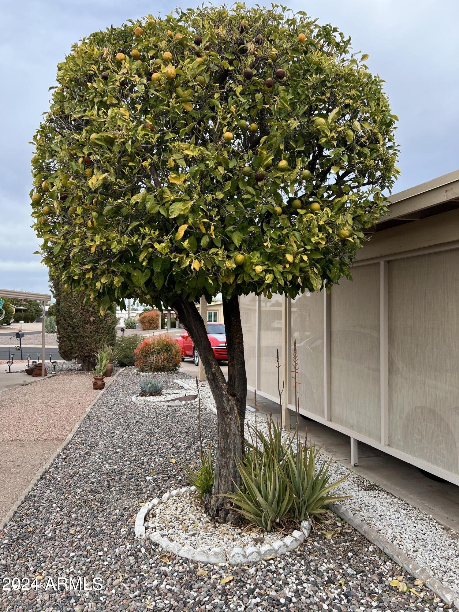 9221 E CITRUS Lane S