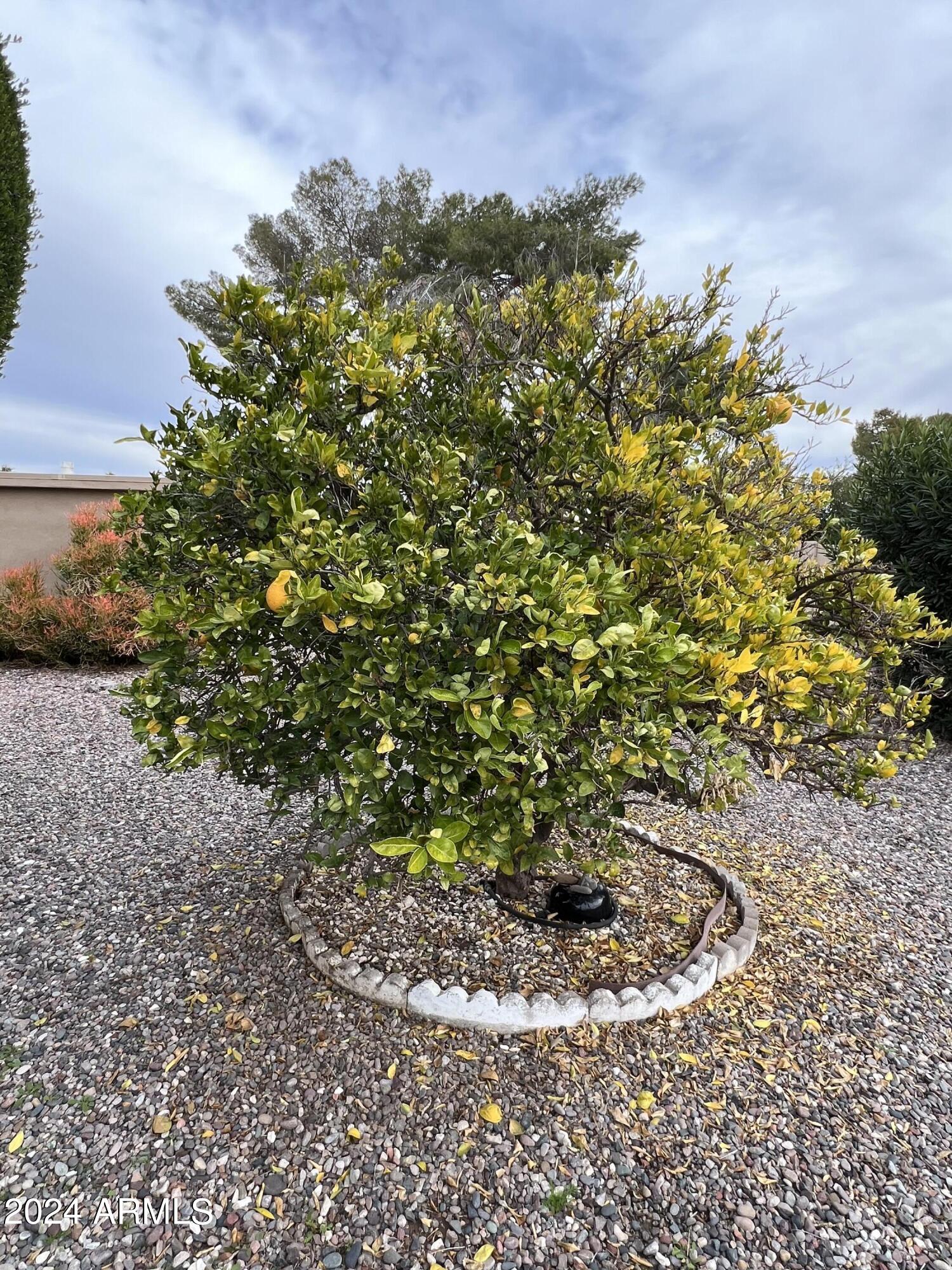 9221 E CITRUS Lane S