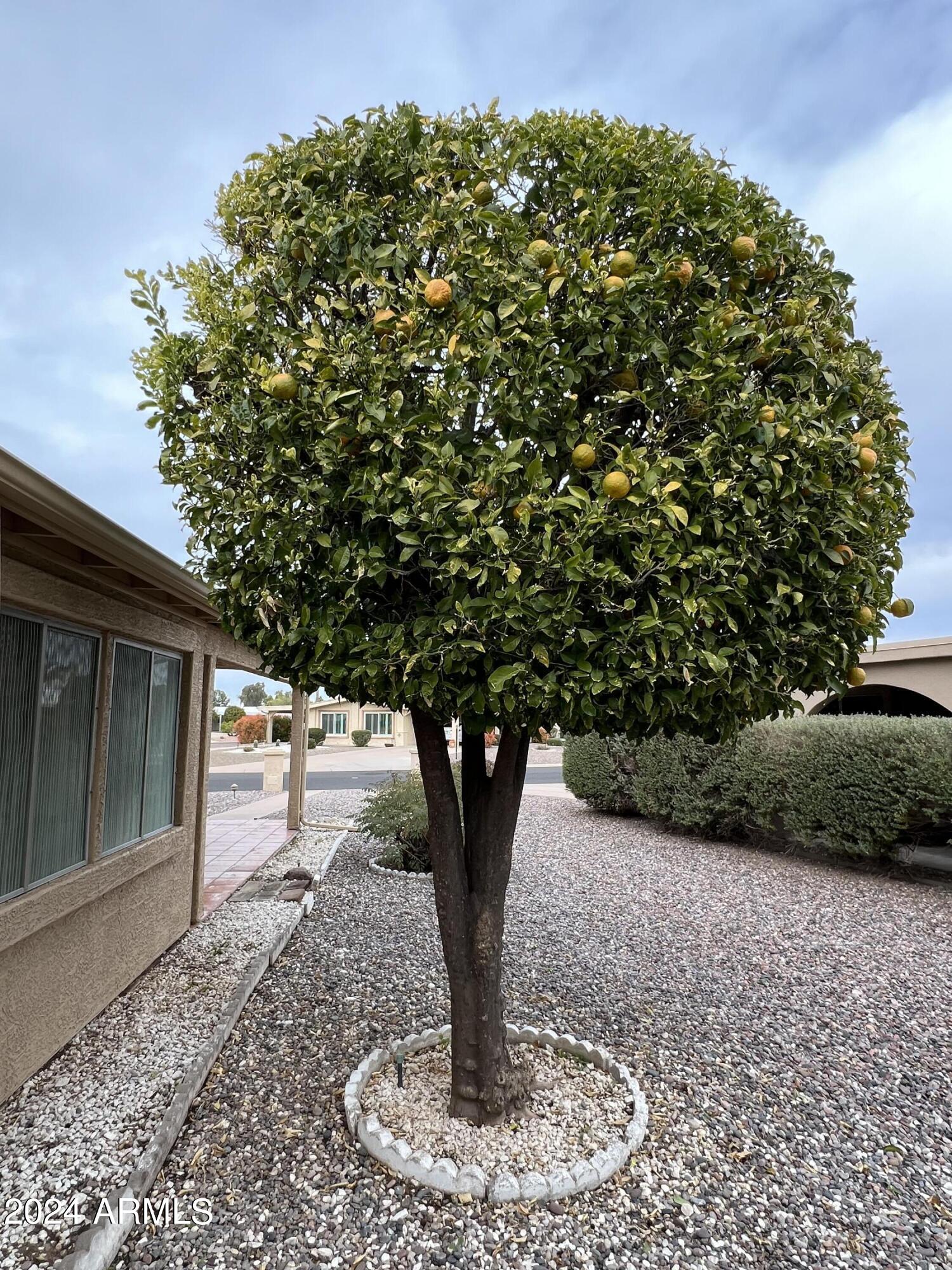 9221 E CITRUS Lane S