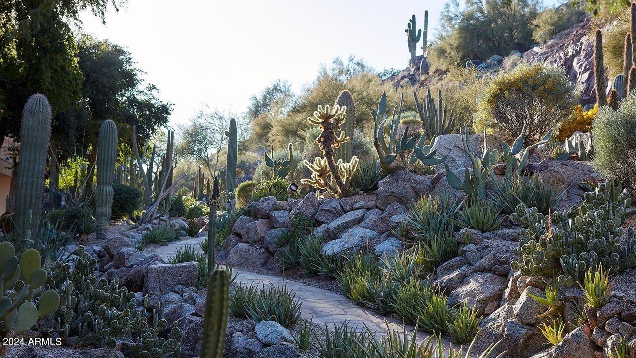 5000 N Camelback Ridge Road 104