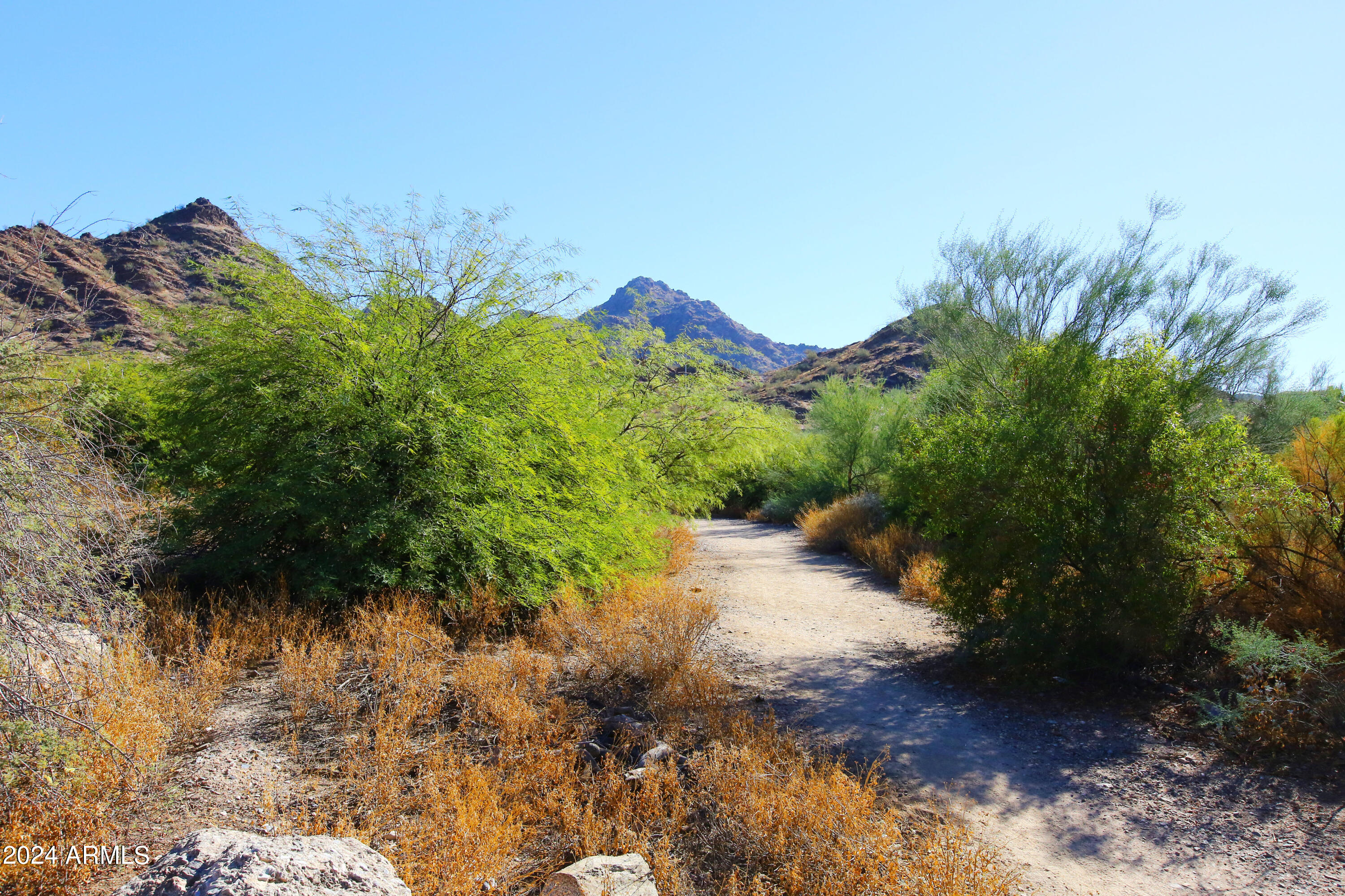 1823 E HAYWARD Avenue, 3