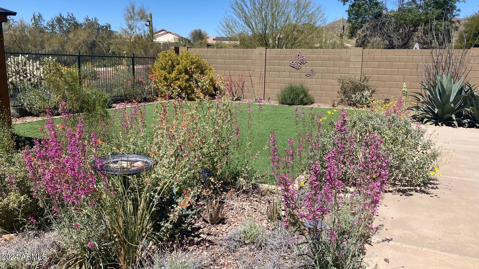 40954 N WILD WEST Trail