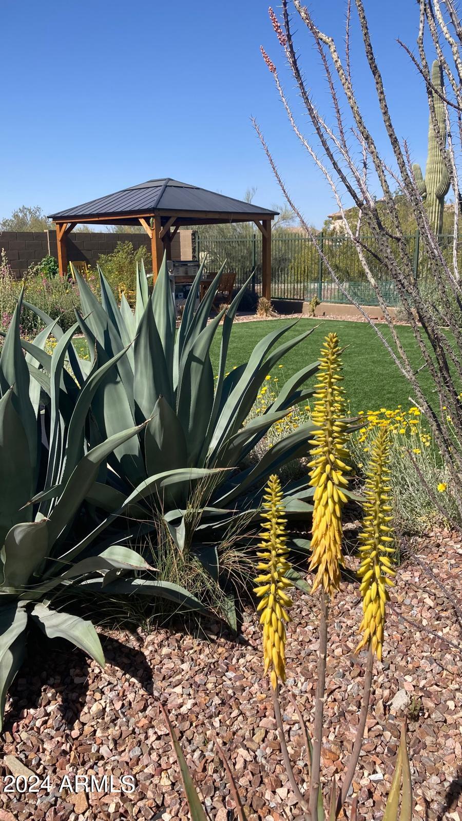 40954 N WILD WEST Trail