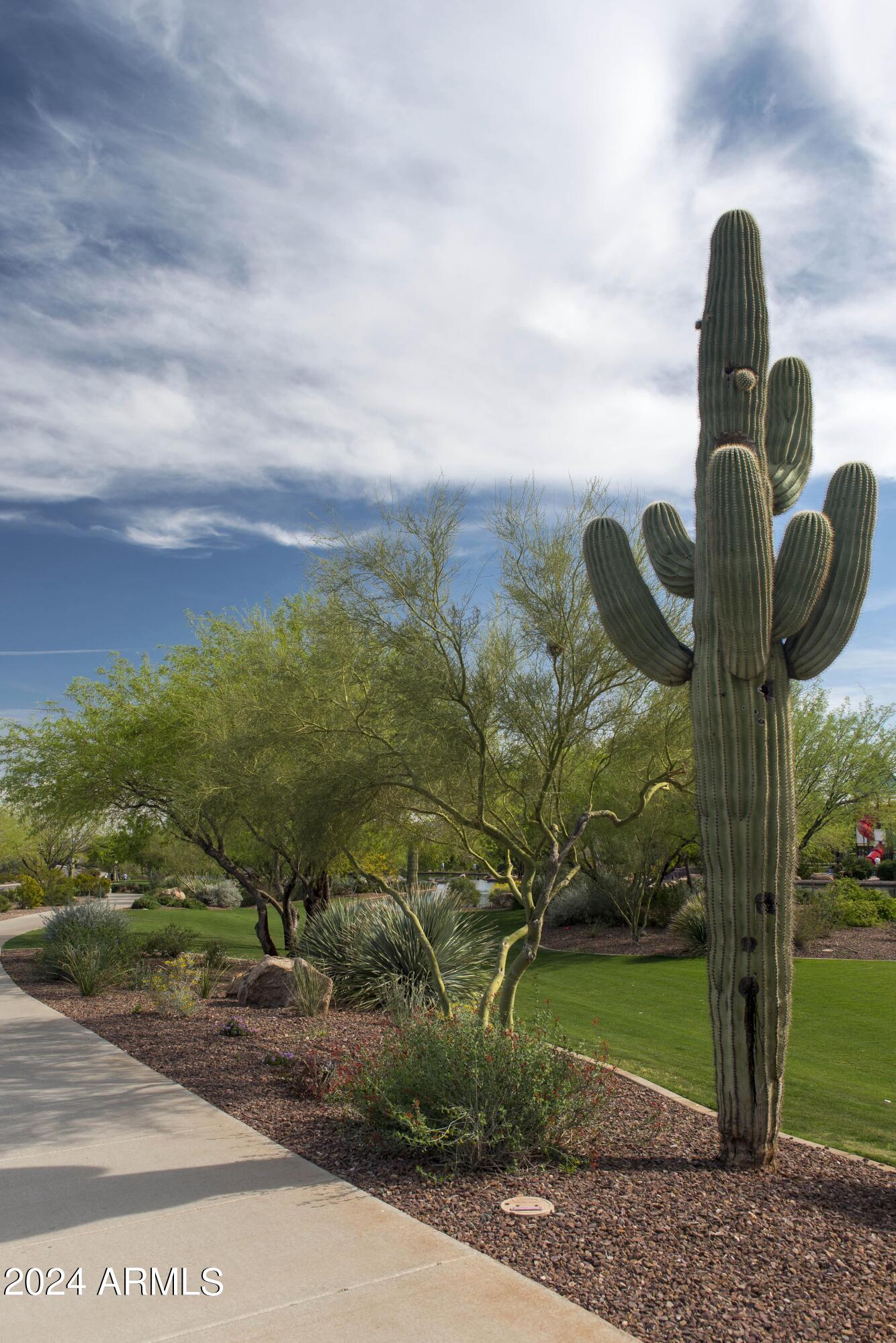 40954 N WILD WEST Trail
