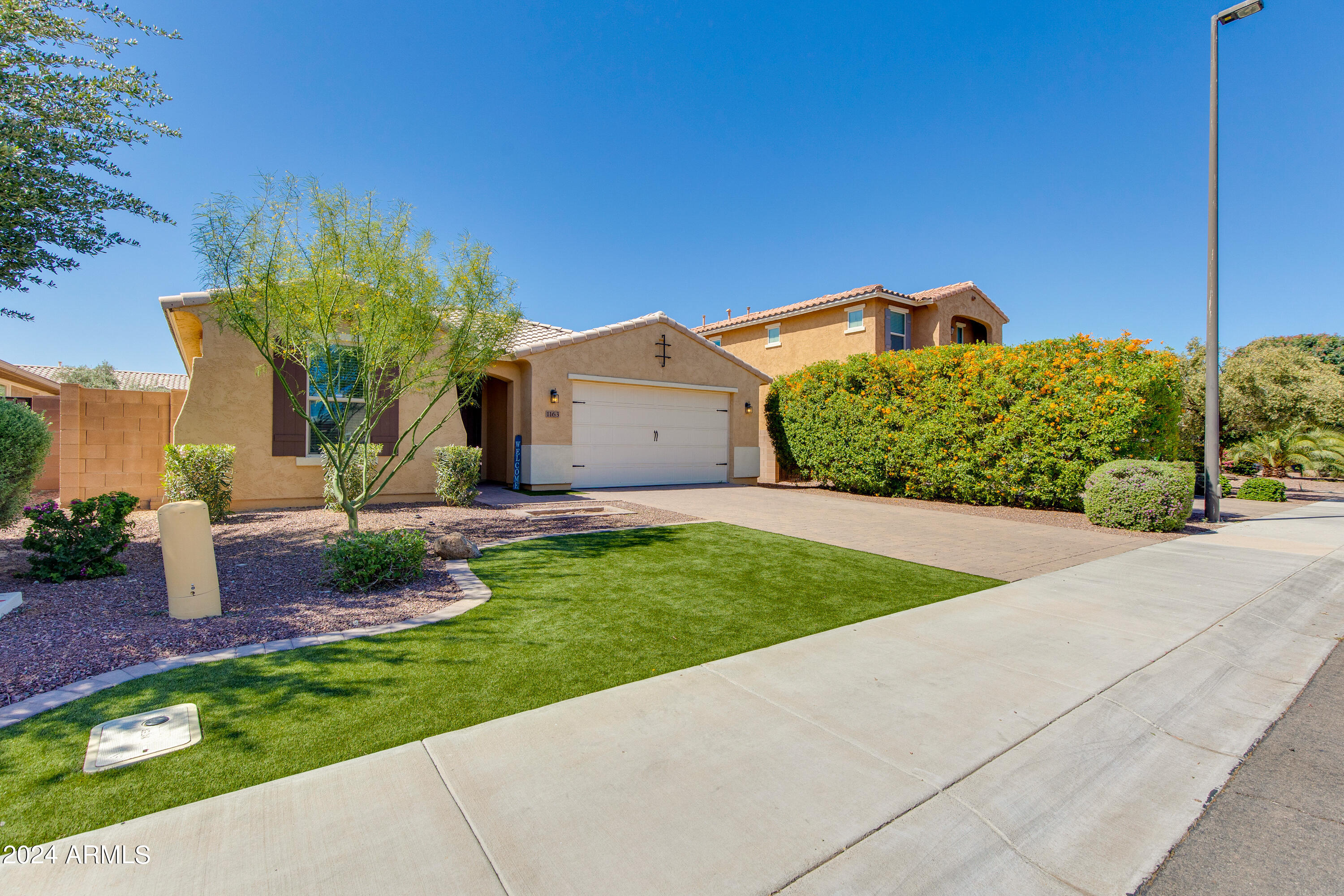 1163 E Ibis Street
