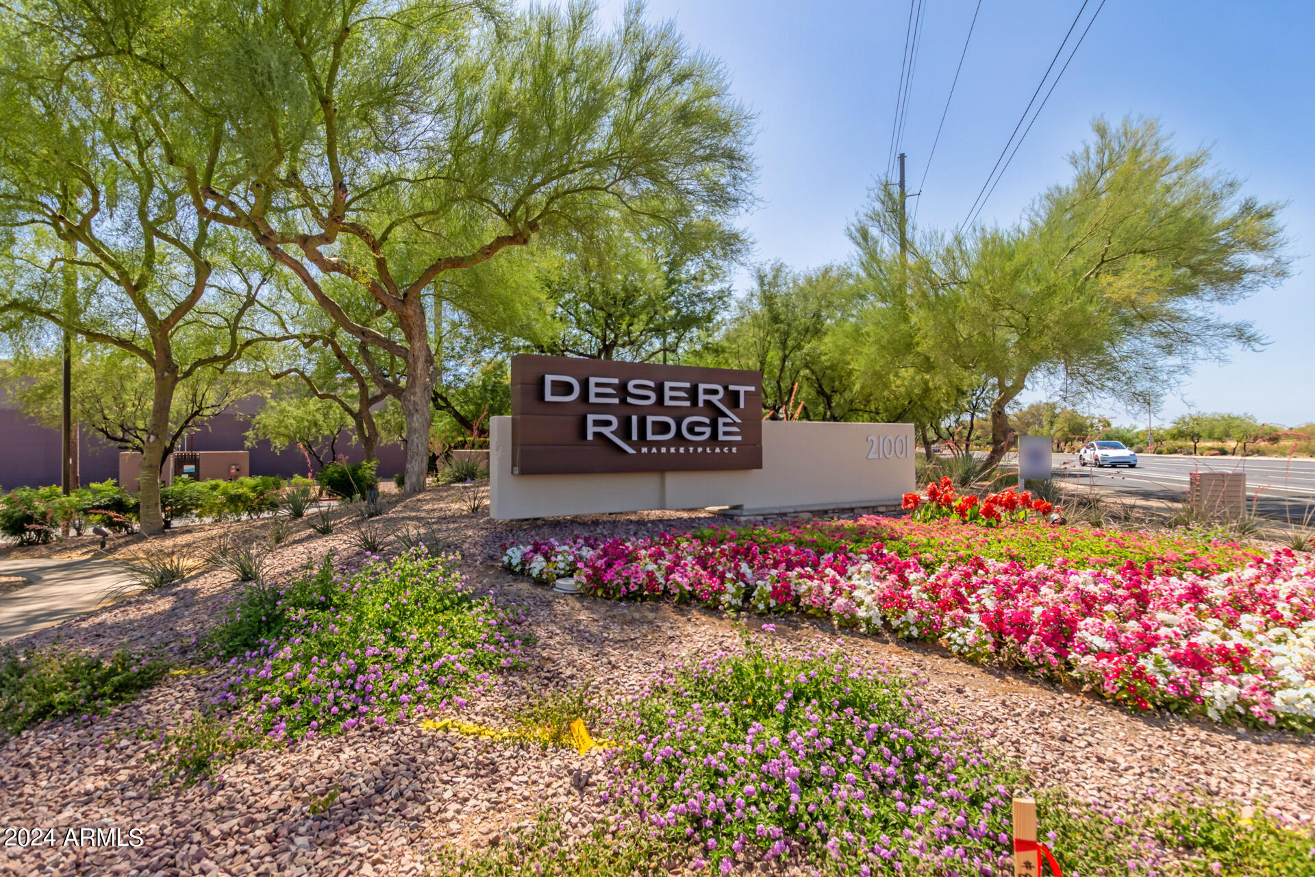 4802 E CIELO GRANDE Avenue